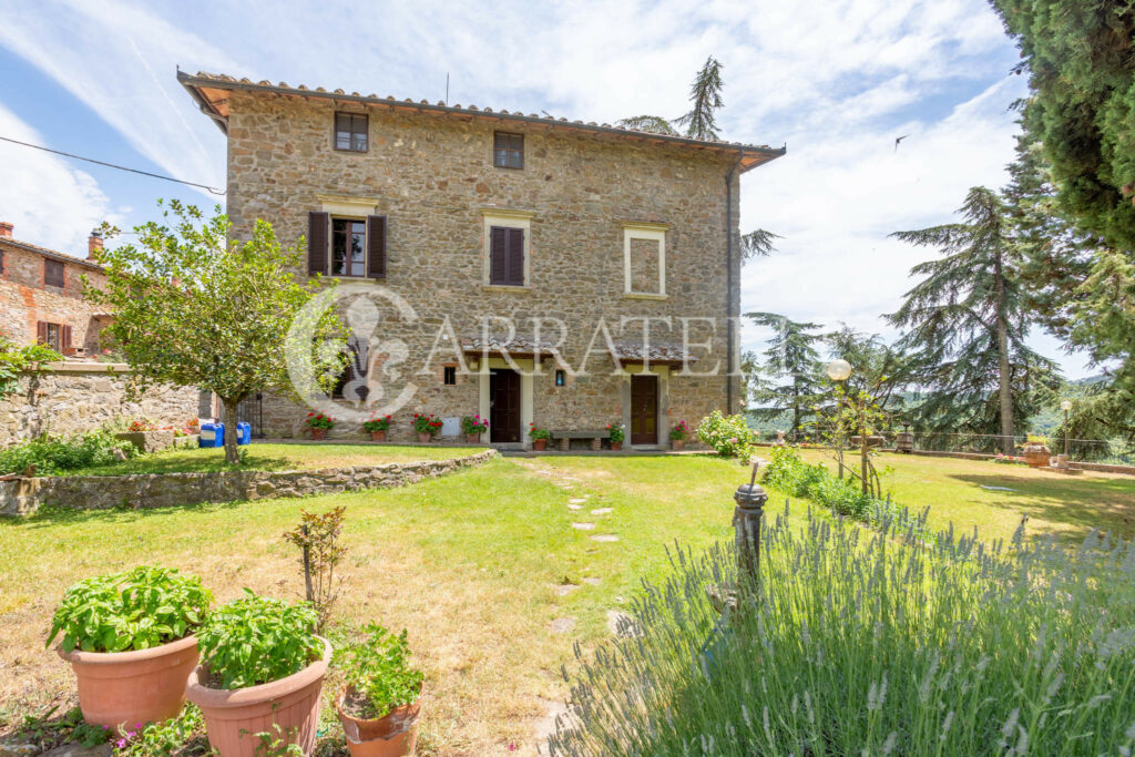 Farm with accommodation in the heart of Chianti