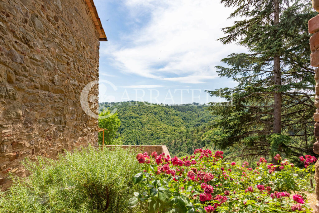 Farm with accommodation in the heart of Chianti