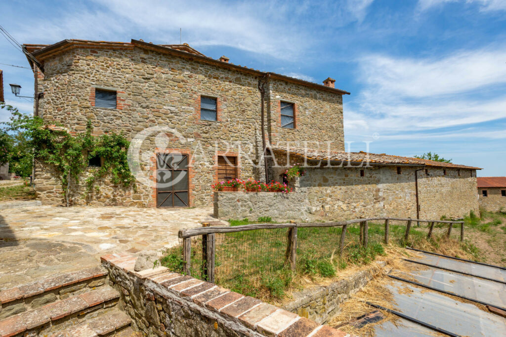 Farm with accommodation in the heart of Chianti