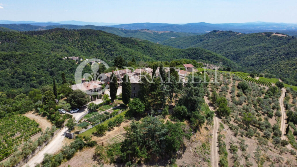 Farm with accommodation in the heart of Chianti