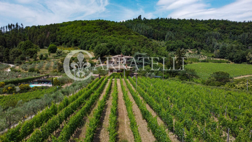 Farm with accommodation in the heart of Chianti