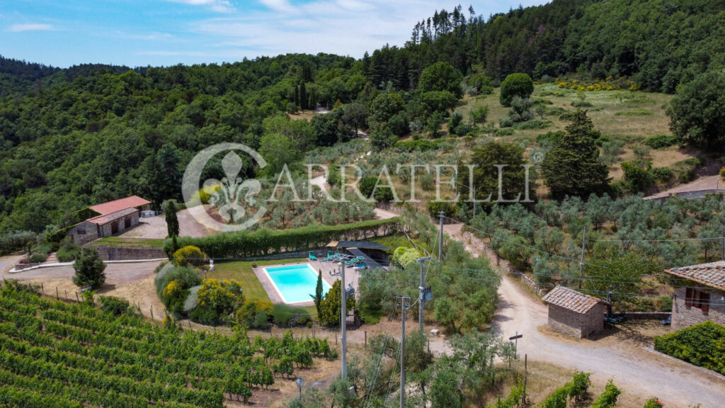 Farm with accommodation in the heart of Chianti