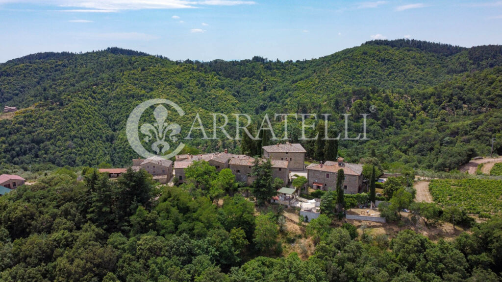 Farm with accommodation in the heart of Chianti