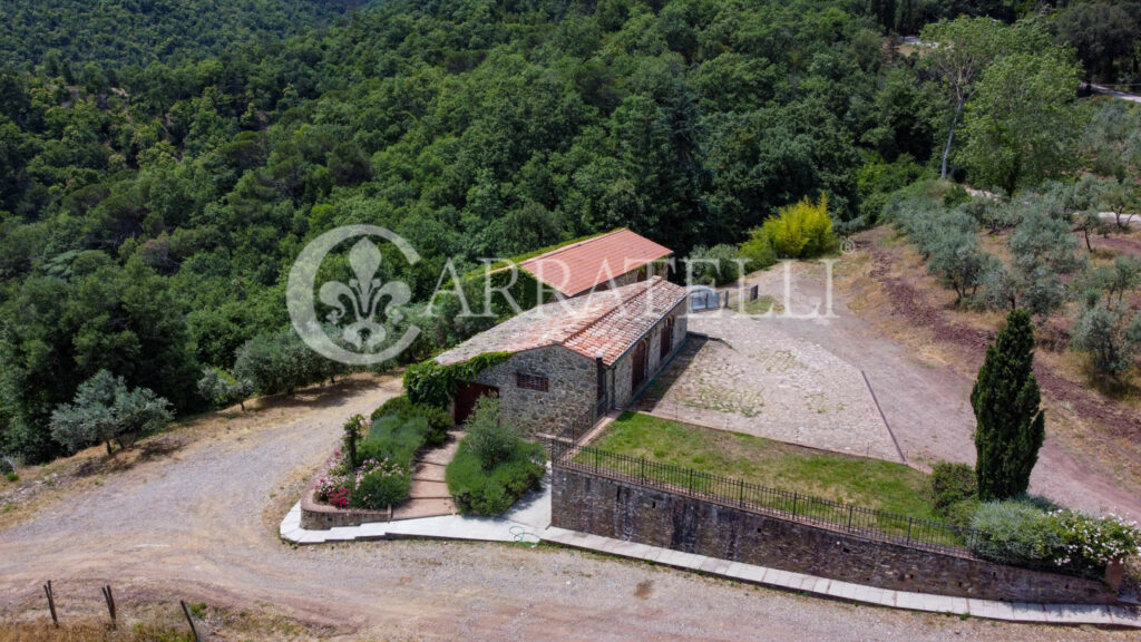 Azienda agricola con ricettiva nel cuore del Chianti