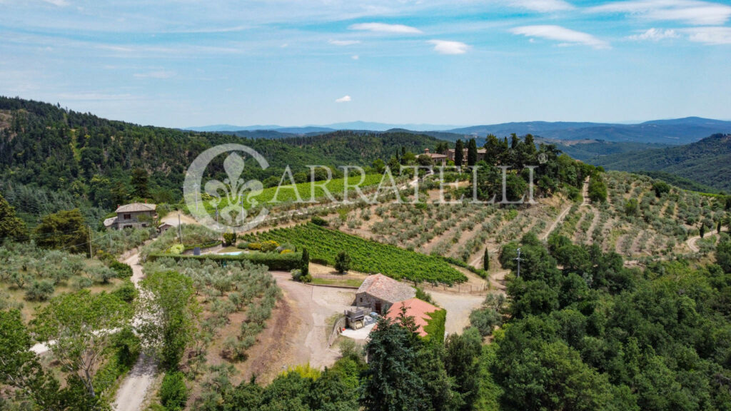 Farm with accommodation in the heart of Chianti