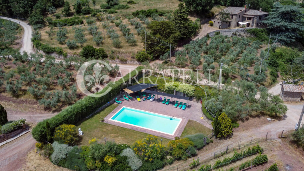 Farm with accommodation in the heart of Chianti