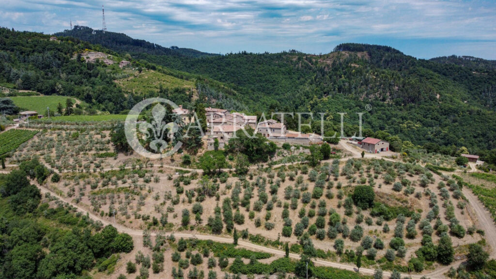 Azienda agricola con ricettiva nel cuore del Chianti