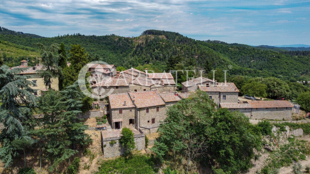 Farm with accommodation in the heart of Chianti