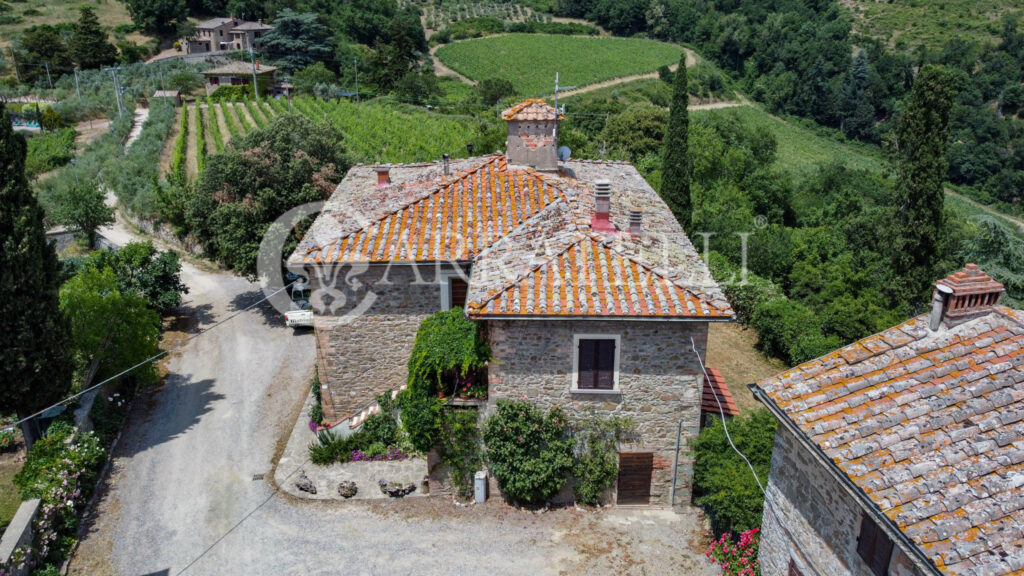 Farm with accommodation in the heart of Chianti