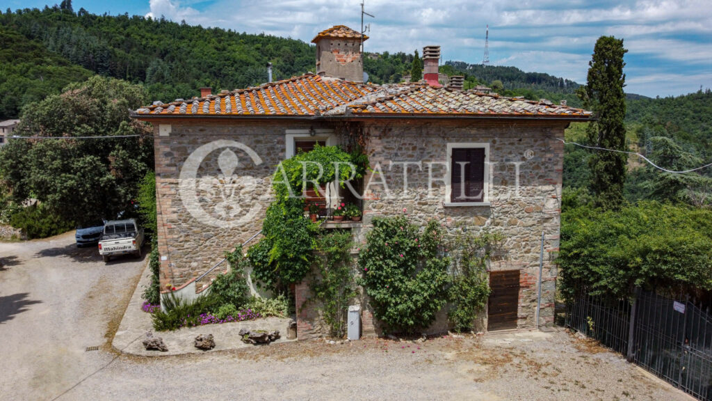 Farm with accommodation in the heart of Chianti