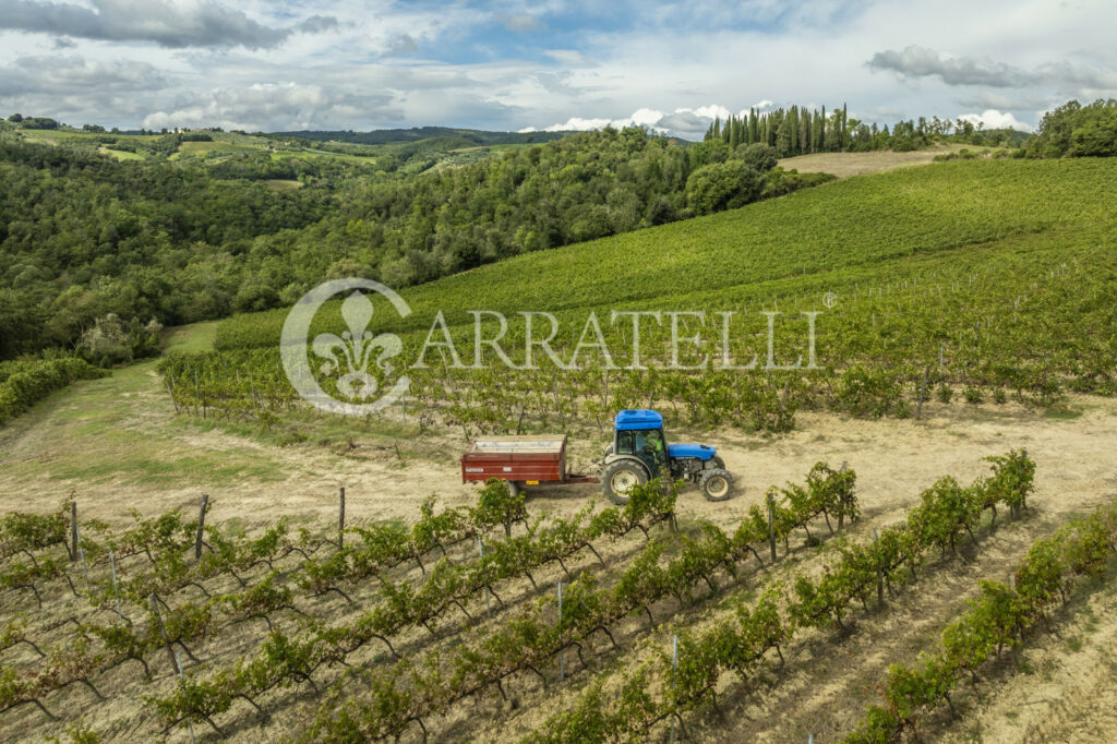 Azienda Viti-vinicola a San Gimignano