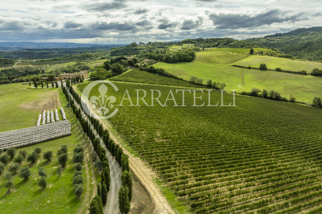 Winery in San Gimignano