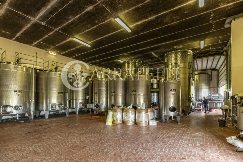 Winery in San Gimignano