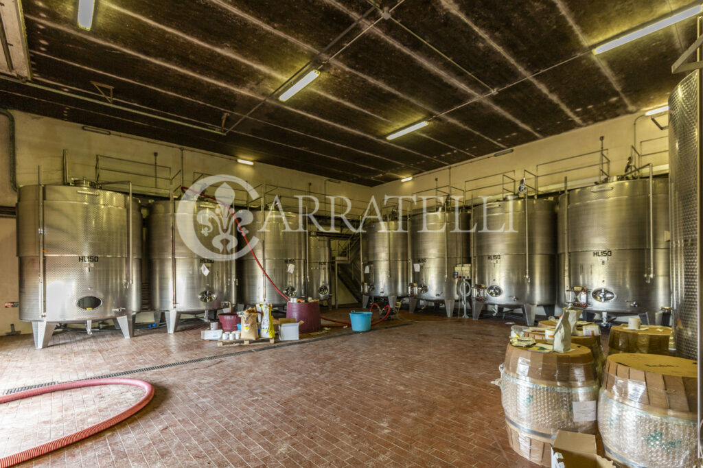 Winery in San Gimignano