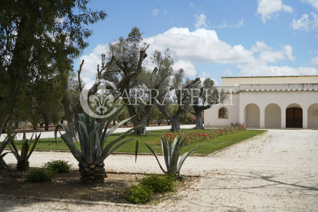 Masseria con Azienza Agricola nel cuore della Puglia