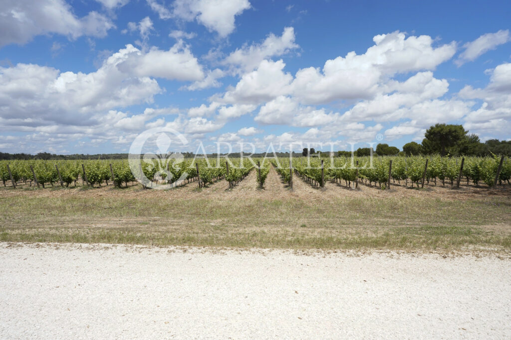 Masseria con Azienza Agricola nel cuore della Puglia