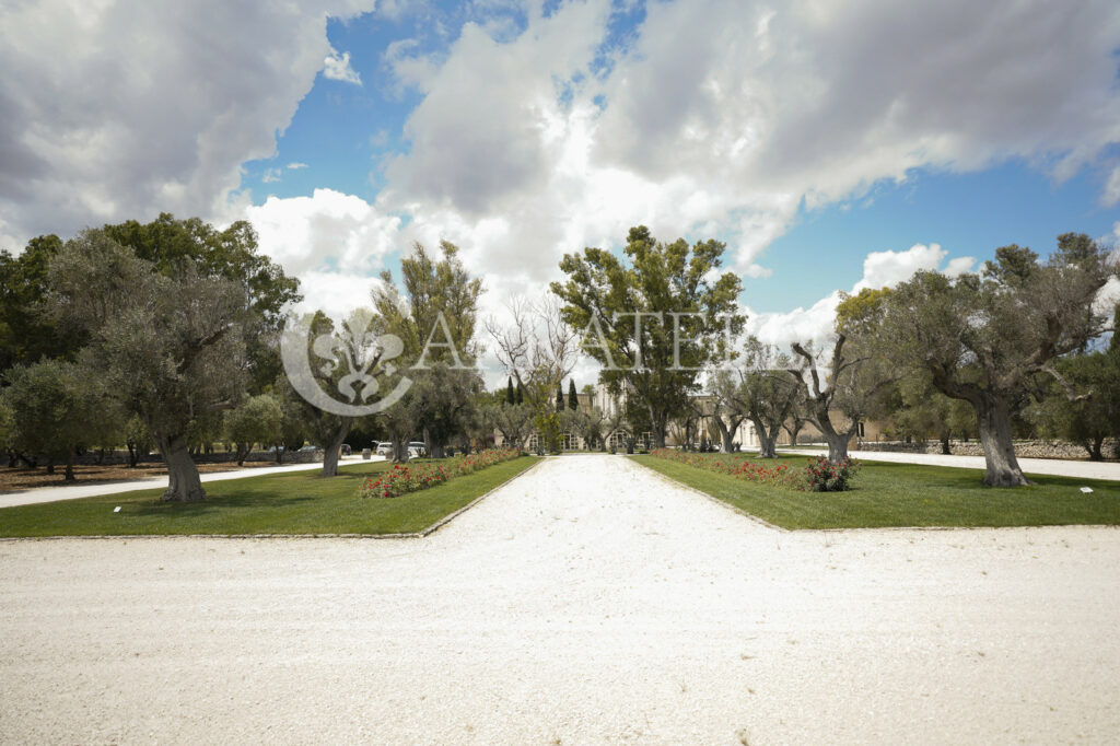 Masseria con Azienza Agricola nel cuore della Puglia