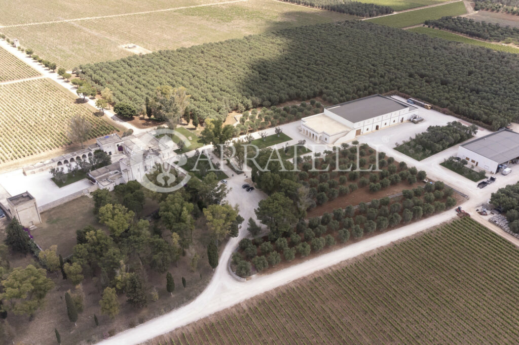 Masseria con Azienza Agricola nel cuore della Puglia