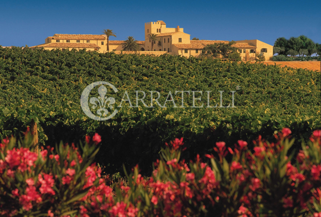 Tenuta Vitivinicola di Eccellenza in Sicilia