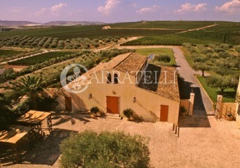 Tenuta Vitivinicola di Eccellenza in Sicilia