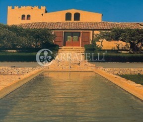 Tenuta Vitivinicola di Eccellenza in Sicilia