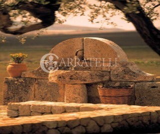 Tenuta Vitivinicola di Eccellenza in Sicilia