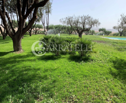 Tenuta Vitivinicola di Eccellenza in Sicilia