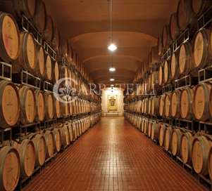 Tenuta Vitivinicola di Eccellenza in Sicilia