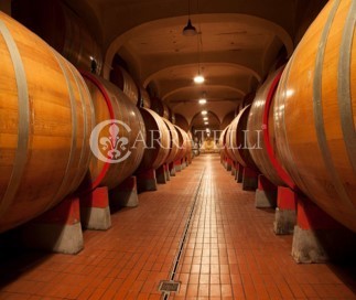 Tenuta Vitivinicola di Eccellenza in Sicilia