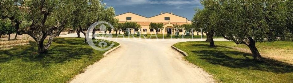 Tenuta Vitivinicola di Eccellenza in Sicilia