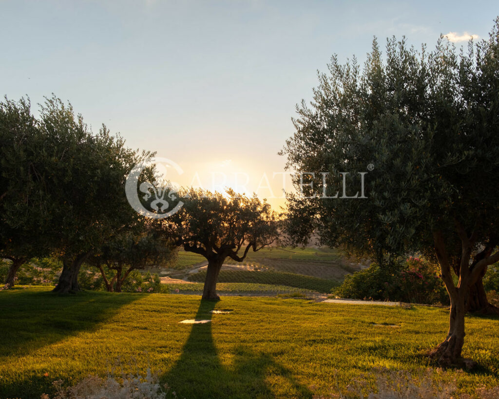 Tenuta Vitivinicola di Eccellenza in Sicilia