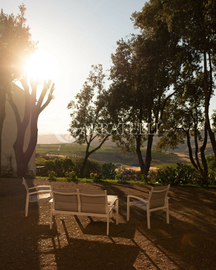 Tenuta Vitivinicola di Eccellenza in Sicilia