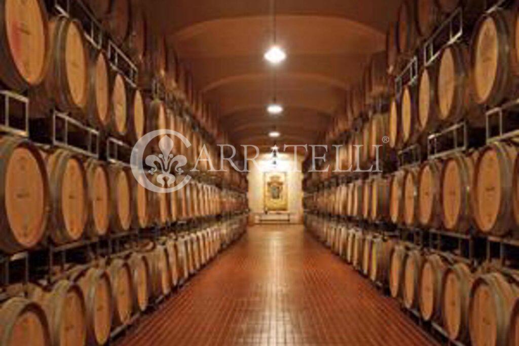 Wine Estate of Excellence in Sicily