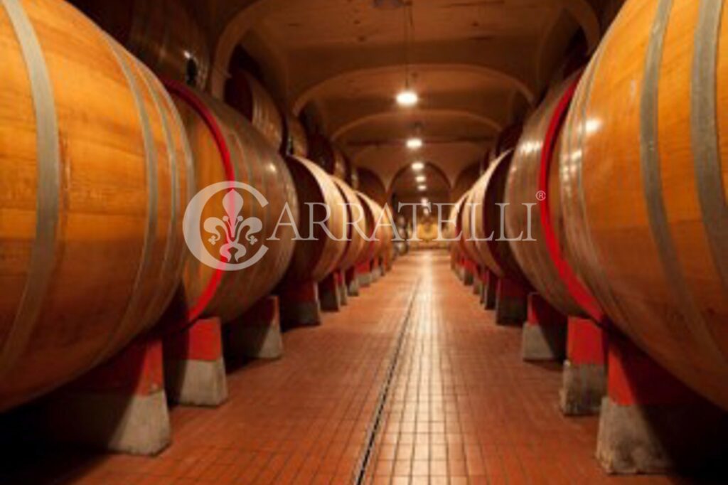 Tenuta Vitivinicola di Eccellenza in Sicilia