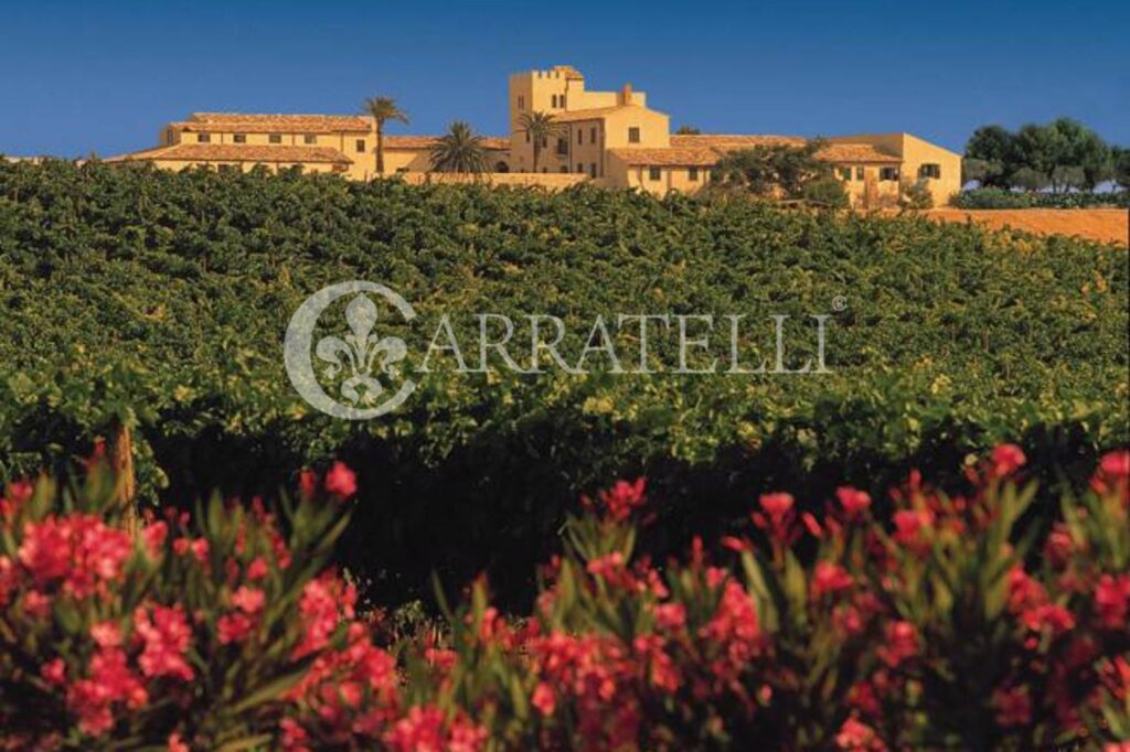 Tenuta Vitivinicola di Eccellenza in Sicilia