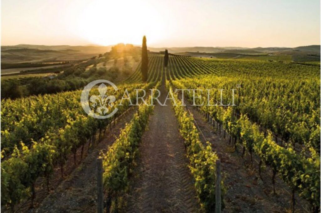 Tenuta Vitivinicola di Eccellenza in Sicilia