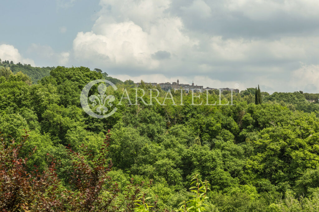 Città della Pieve casale con piscina e terreno