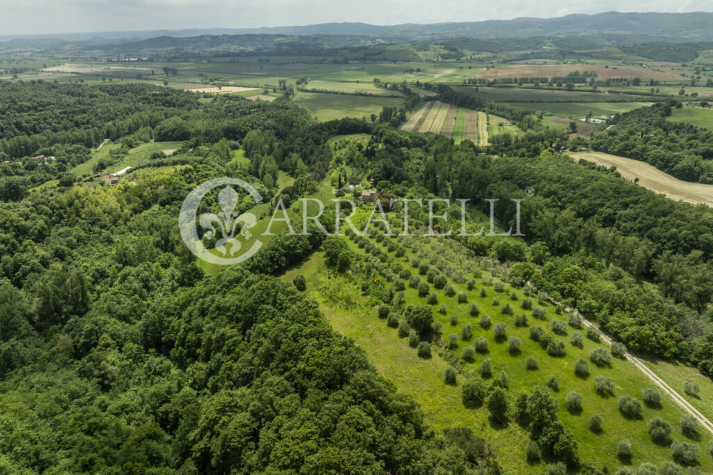 Città della Pieve farmhouse with pool and land