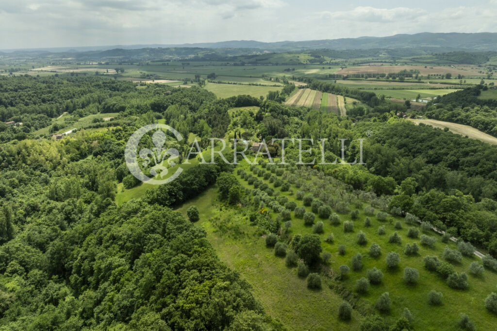 Città della Pieve farmhouse with pool and land