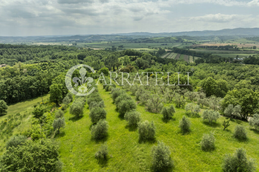 Città della Pieve farmhouse with pool and land